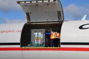 Photo: The crate Henry travelled in from Australia. Supplied by the Cochrane Polar Bear Habitat.