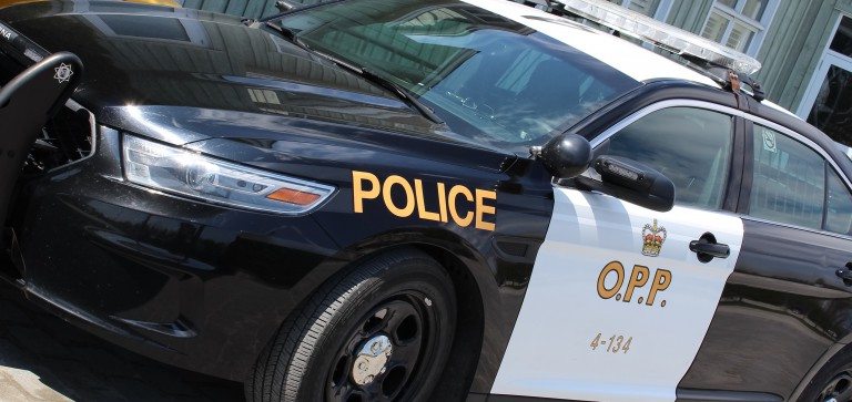 OPP targeting transport trucks in latest blitz