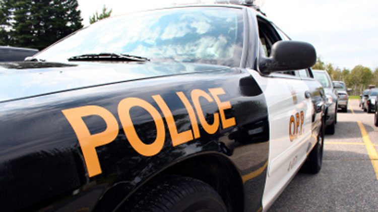 North York man facing drug charges after a Highway 11 traffic stop