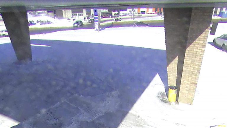 Police Search for the Driver Involved in a Pedestrian Collision