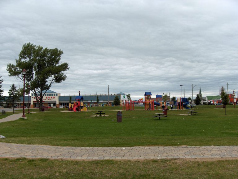 City Installs New Accessible Swing at Hollinger Park