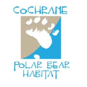 NEW EXECUTIVE DIRECTOR CALLS POLAR BEAR HABITAT ‘INCREDIBLE’