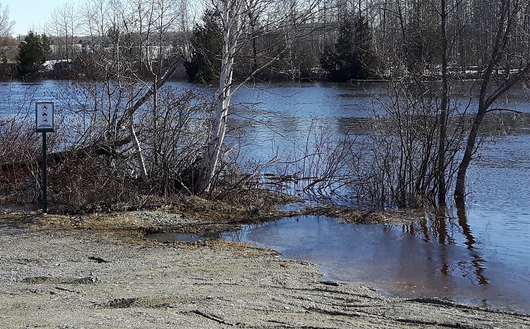 ‘Open to local traffic’ means access to Cedar Meadows is maintained