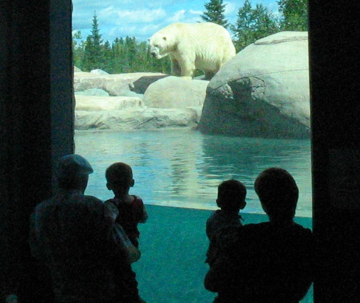 International volunteers coming to Cochrane Polar Bear Habitat