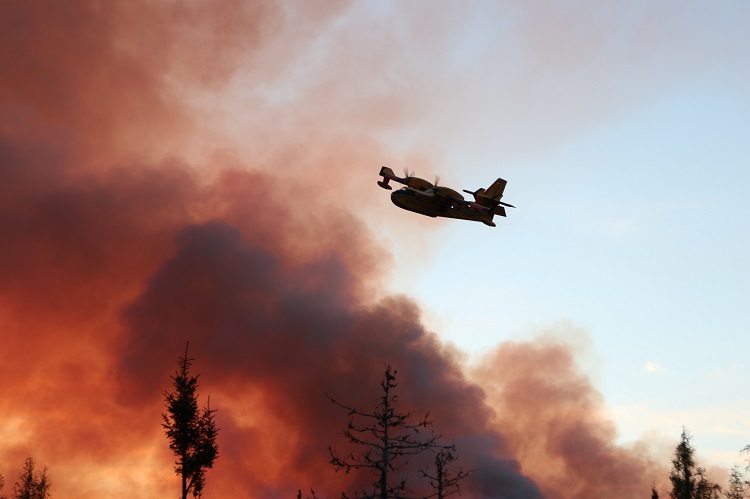 Gogama forest fire smaller, still not under control