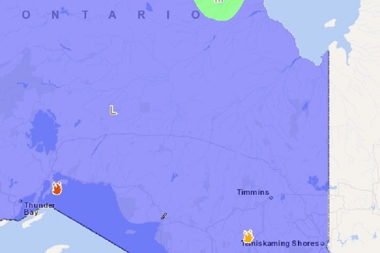 Forest fire hazard in our region is low