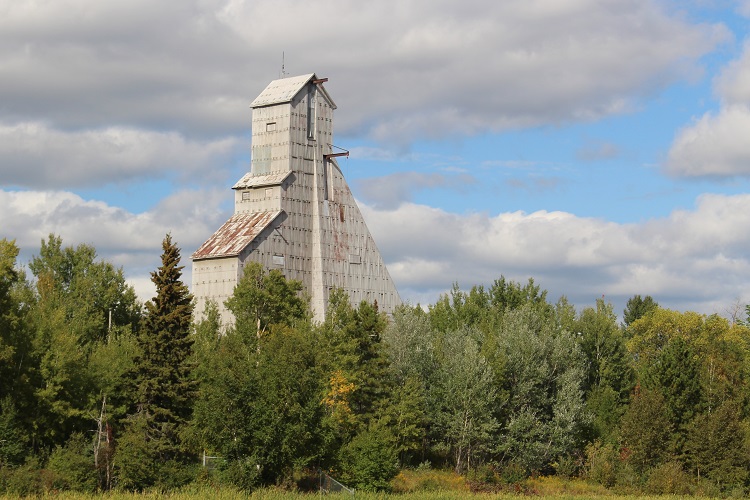 Council to consider “beeing” a Bee City; and priority repairs to McIntyre headframe