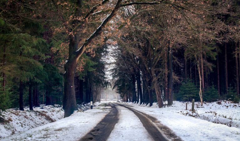 February 5th 2025 Road Report