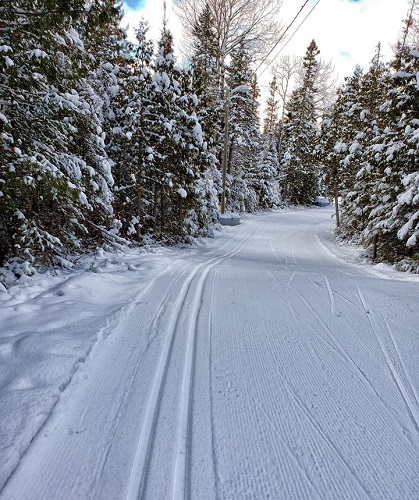 It’s X-C ski time!