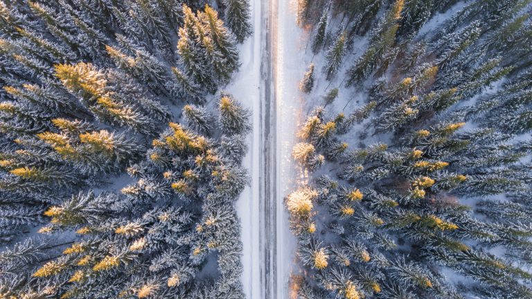December 3rd 2021 Road Report
