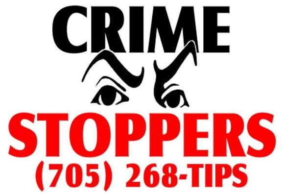 Crime of the Week: Assault at the library