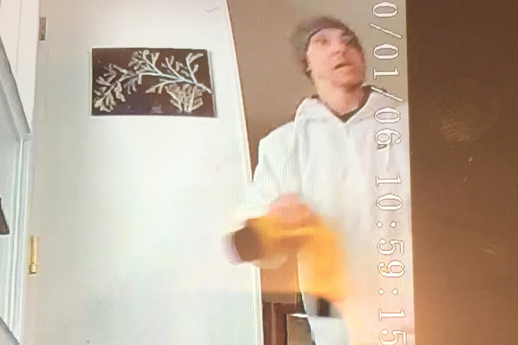 Unlocked shed helps burglar break in to house