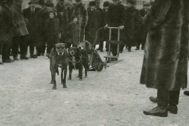 Billy Martin, ‘super popular’ dogsled racer