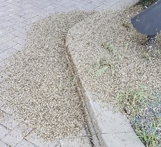 Swarming moths a nuisance, not a health hazard, MNRF expert says