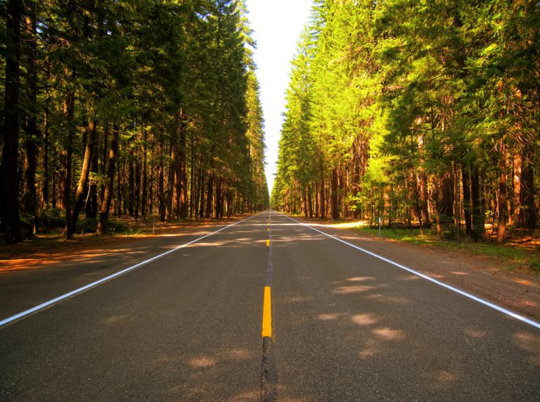 April 11th 2024 Road Report
