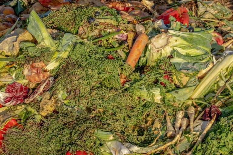 City Council approves composting study