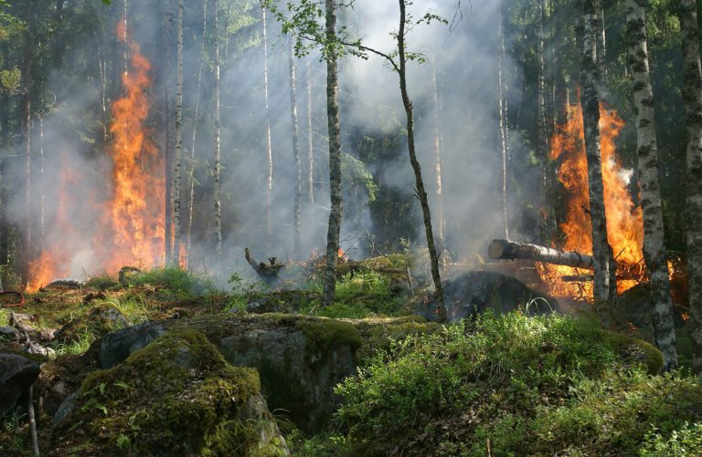Timmins and Kapuskasing welcome evacuees