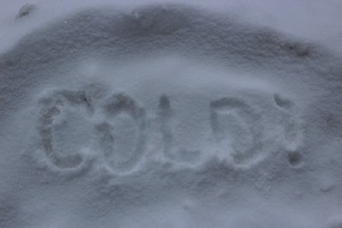 Extreme Cold Warning for January 20th 2025