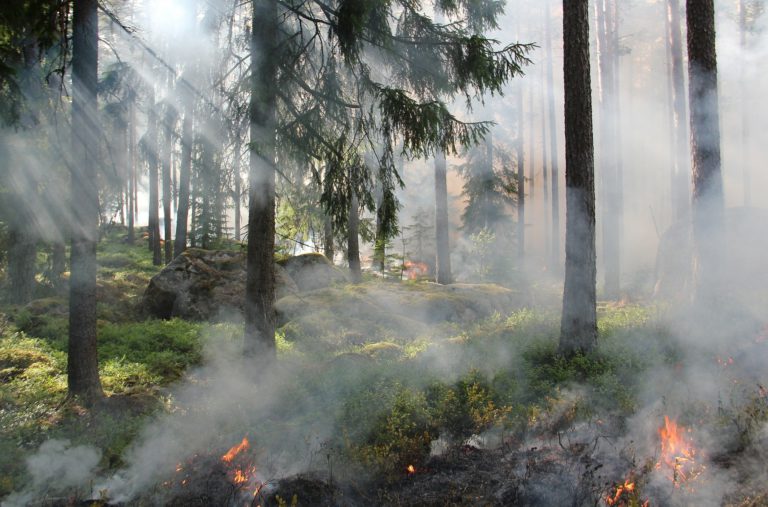 Rain and cooler temps easing forest fire rating in region