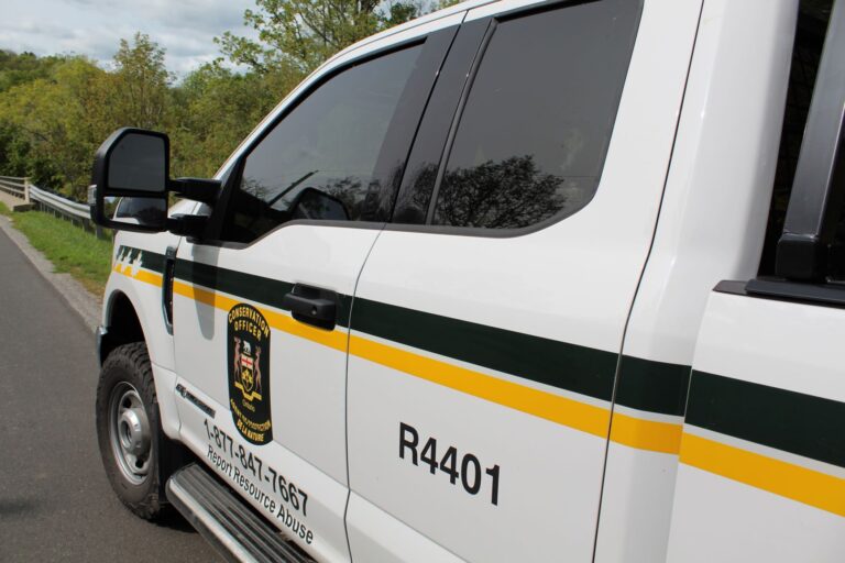 Quebec man charged by MNRF under forest fire prevention act