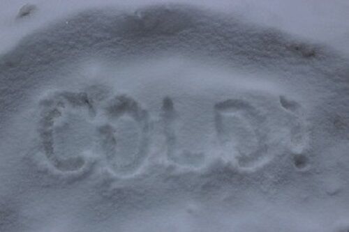 EXTREME COLD WARNING (JANUARY 24, 2025)