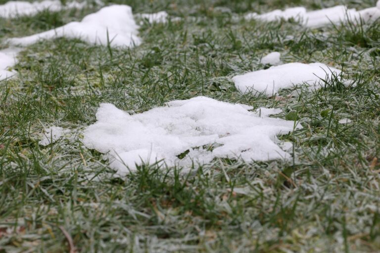 Property standards blitz aims to get messes cleaned up in Timmins or the city will do it