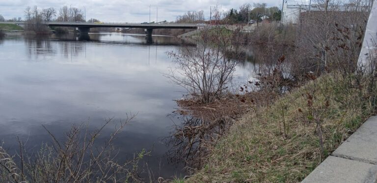 Flood Advisory Committee lowers flood warning to flood watch status