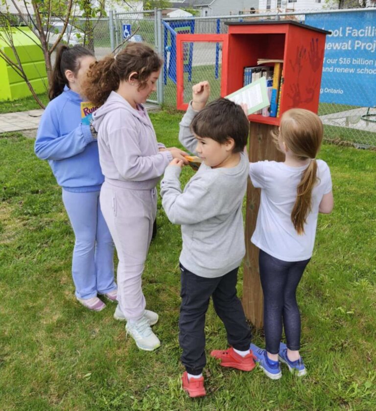 Book box project officially opened