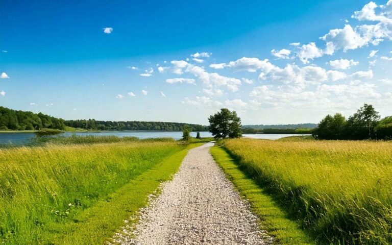 ‘Riparian project’ underway at Porcupine Lake