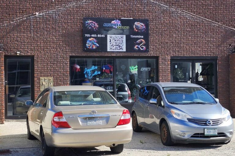 Aquatics & Exotics owners allege home invasion in their apartment above store